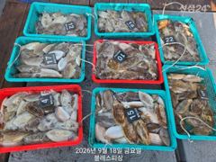 [사천] 갑오징어 오늘 최고 76수, 전원 두 자리수 조과! 월요일 쭈꾸… 사진
