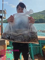 9월18일 팀보스선단 문어 대박조황 사진