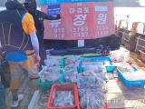 주꾸미 글만 보기 사진