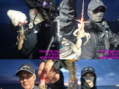 <레인보우호> 쭈꾸미 종일 마무리 굿~조황(18일)-쭈꾸미 잘나옵니다~! 사진