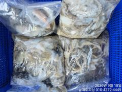 뉴대호피싱 9월18일 쭈갑조황입니다!! 사진