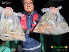 문어대박조황 입니다 사진
