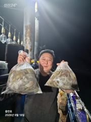 9월17일 팀보스선단 야간문어 대박 조황 사진
