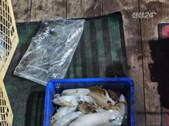 (南)남해조황 - 문어대박조황 입니다 사진