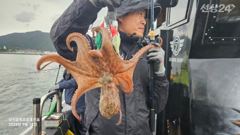 실시간~ 잘나옵니다~! 야간자리 있어요~~ 사진