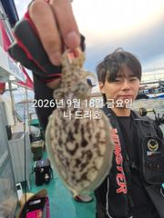 내만 갈치 씨알이가 굿입니다~~(오늘부터 예약 가능) 사진