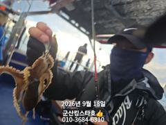 ■군산킹스타호(9/18)■쭈꾸미 잘 나와주고 있는 실시간~(계속해서 출조~)~ 사진