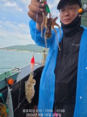 18일 쭈꾸미 실시간 ~~ 퍽퍽합니다 사진