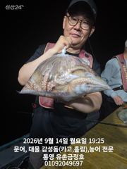 [통영] 통영 금정호 문어선상 주말 정상출항합니다 자리여유있어요~^^ 사진