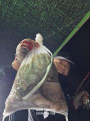 삼천포 문어 대박조황! 주간반, 야간반 매일출조! 사진