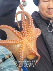 9월18일-초대박난 주간문어 조황 사진