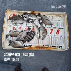 [여수,광양] 성빈호. 9월 19일 출조 다녀왔습니다 사진