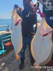 9월18일,"대광어"날마다 ~연일 굿~~실시간~내일도 갑니다~ 군산낚시프라자 범고래호 사진