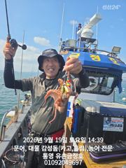 통영 금정호 오후 문어도 재미나게 시작합니다 내일 오전 자리있어… 사진