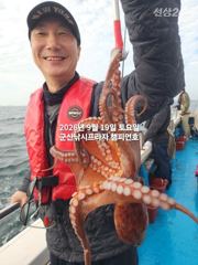 19일, 문어,문어,문어, 무쟈게 나옵니다.......덩치급 문어들,망탱이 굿굿조황~군산낚시프라자 챔피언호 사진