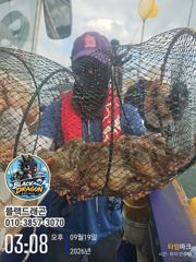 삼천포 돌문어 훌륭합니다 ~~(월욜 갑오징어) 사진