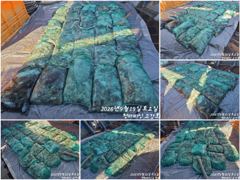 고강호 글만 보기 사진