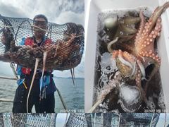 문어,비바람에도,키로,중치,120수,왕창,,(월,가능) 사진