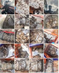 ♡9월19일 여수야호 쭈꾸미 초대박 #추석정상출항 #자리여유 사진