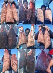먹물 글만 보기 사진