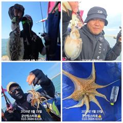 ■군산킹스타호(9/19)■ 쭈꾸미 굿~마무리(계속해서 출조합니다 사진