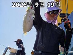 26년 9월 18일!! 인천 썬스타호!! 쭈꾸미 대첩 19일차 조황입니다~^.^ 사진