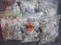 19일 최저가대왕쭈 초대박 왕쭈장원122수..눈꾸미는사절.. 계속출발....... 사진