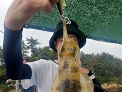 [진해] 돌문어로 쭉~쭉 무늬팁런으로 쭉~쭉 올리고 예약가능 사진