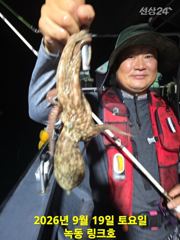 9/19일 야간 문어 조황입니다 사진