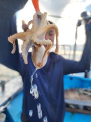 9월19일21금강호조황입니다 사진