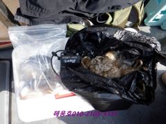 26년9월19일 조황 사진