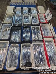 [진해] 통영갈치~제법들 커진놈들 손맛.입맛 좋네요~오늘 예약가능합니다 사진