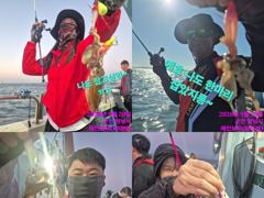 <레인보우호> 군산쭈꾸미 이제시작~잘나옵니다~실시간(20일) 사진