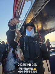 ■군산킹스타호(9/20)■쭈꾸미 실시간~(계속해서 출조합니다. 예약가능) 사진