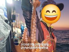 20일 주간문어~덩치급 문어들~연일 대박, 오늘도 잘 나오고 있어요~~실시간~ 군산낚시프라자 챔피언호 사진