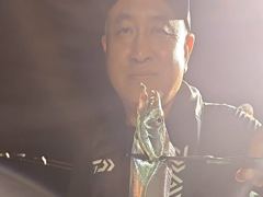 내만갈치 씨알 마릿수 많아요~~~예약가능 사진