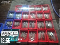[통영] [팁런] 악조건에도.마리수(오늘.소수인원.출조확정) 사진