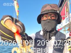 군산쭈꾸미, 갑오징어와 함께 나오고 있어요~실시간~군산낚시프라자 나드리호 사진