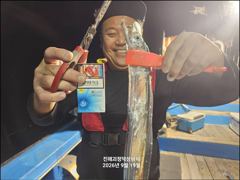 [20일입항] "내만갈치" 3지까지!! 씨알+마릿수 모두 굿굿굿!! [오늘예약가능] 010-7660-2435 [1] 사진