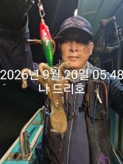 군산쭈꾸미, 갑오징어와 함께 나오고 있어요~실시간~군산낚시프라자 나드리호 사진
