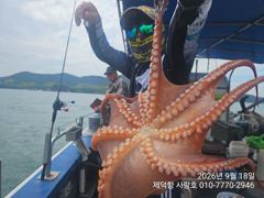 [진해] "여밭돌문어"1200gKKK 180수~ 개인22수18수15수13… 사진