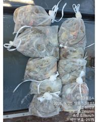 [사천] (((해림3호)))씨알급 문어조항 내일 쭈구미 출조합니다 사진