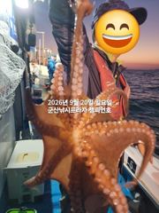 20일 주간문어~안정권~덩치급 문어들~망탱이조황~ 군산낚시프라자 챔피언호 사진