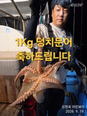 삼천포 마린보이 9.21. 월요일부터 주간 / 야간문어 계속 출항합니다 사진
