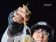 [고성] 무늬팁런 오늘도 몬스터와 마릿수가 사진