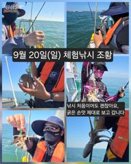 [피닉스피싱호] 9월 20일(일) 체험낚시 조황 - 낚시 처음이어도 괜찮아요, 굵은 손맛 제대로 보고 갑니다 사진