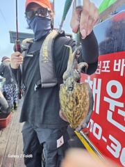 갑오징어출조 사진