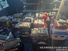 [쭈꾸미·갑오징어조황] 9/20일 오천항 포세이돈호 쭈/갑오징어 굿조황 사진