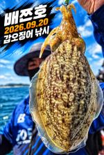 [배쯔호] 9월20일 갑오징어 낚시 사진