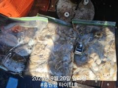 9/20 홍원항 타이탄호 쭈꾸미,갑오징어 사진
